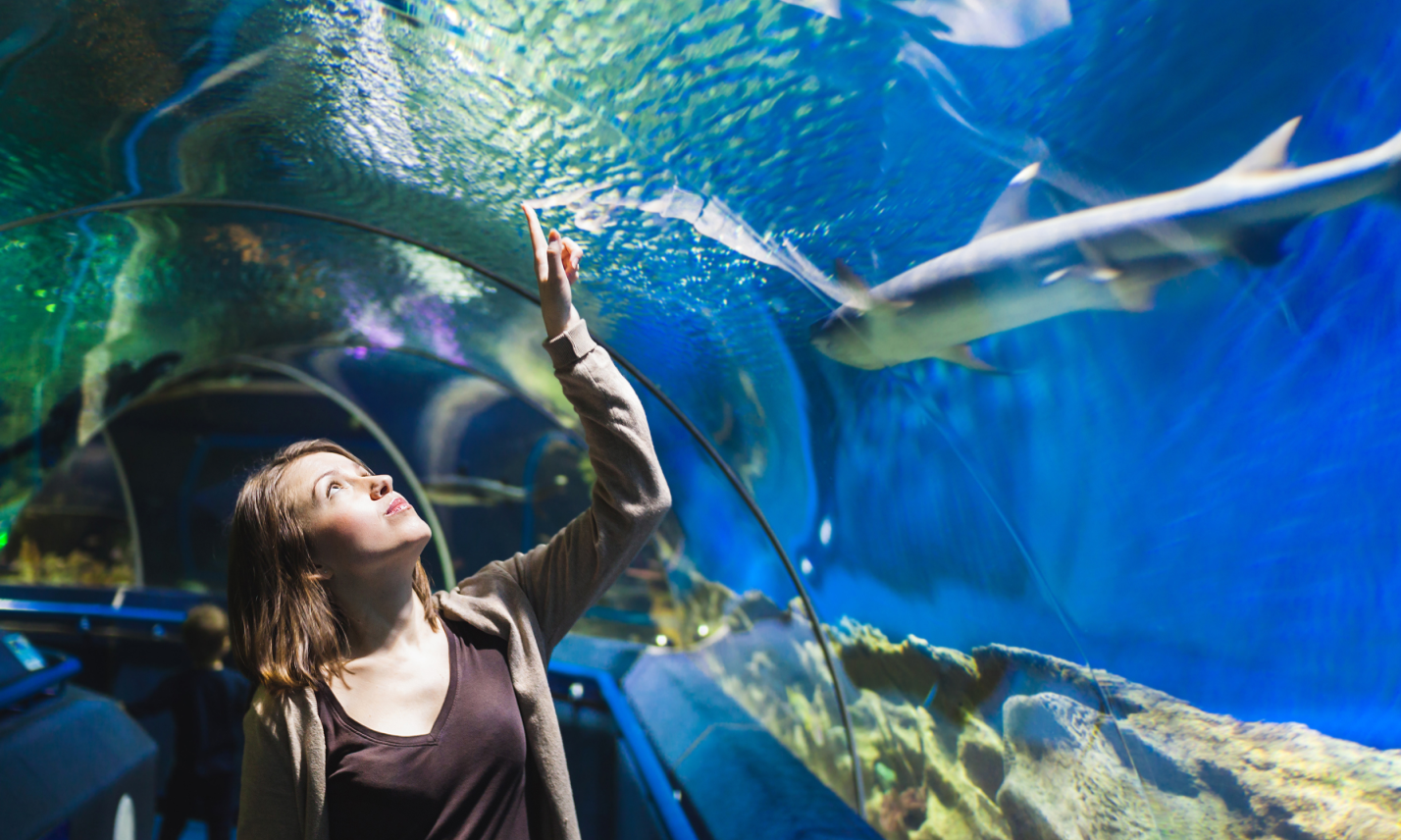 aquarium tour 1