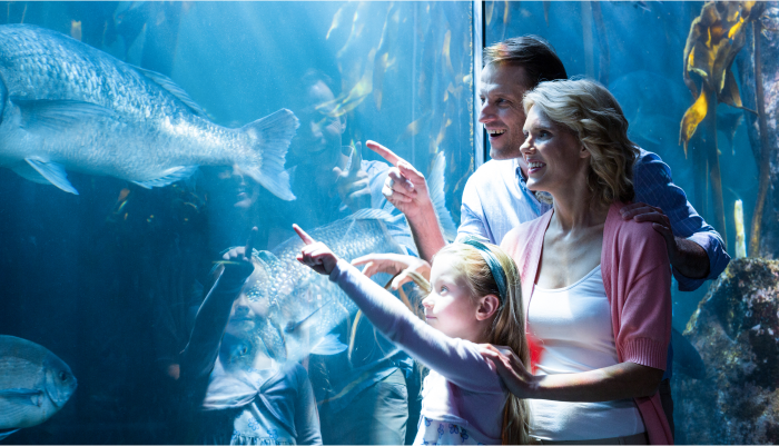 aquarium tour 2 1